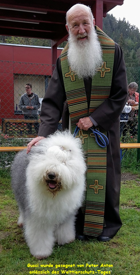Gucci wurde gesegnet von Pater Anton
anlsslich des Welttierschutz-Tages