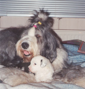 Angie und ihr Puppy :-)