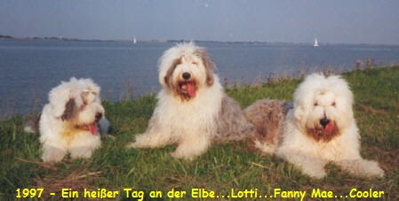 1997 - Ein heißer Tag an der Elbe...Lotti...Fanny Mae...Cooler