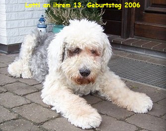 Lotti an ihrem 13. Geburtstag 2006