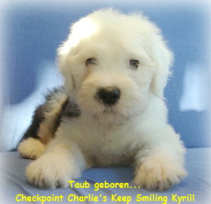 Taub geboren...
Checkpoint Charlie's Keep Smiling Kyrill