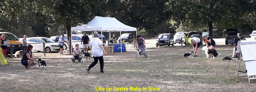 Line up Bestes Baby in Show