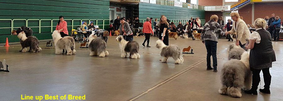 Line up Best of Breed
