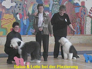 Balou & Lotte bei der Plazierung