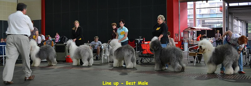 Line up - Best Male