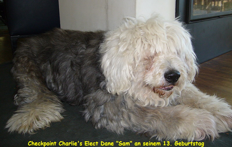 Checkpoint Charlie's Elect Dane 