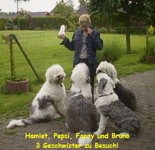 Hamlet, Pepsi, Fanny und Bruno
3 Geschwister zu Besuch!