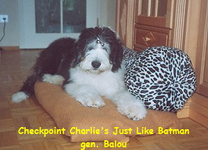 Checkpoint Charlie's Just Like Batman
gen. Balou