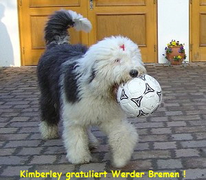 Kimberley gratuliert Werder Bremen !