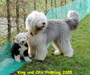 King und Otis Frühling 2005
