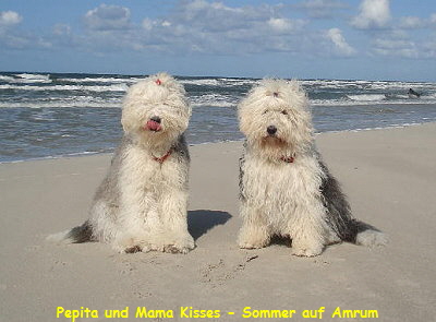 Pepita und Mama Kisses - Sommer auf Amrum