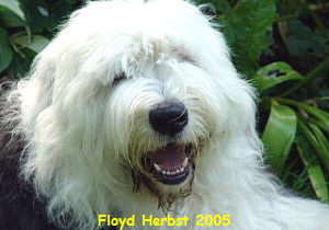 Floyd Herbst 2005