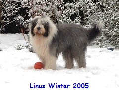 Linus Winter 2005