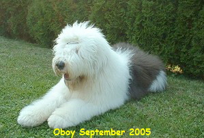 Oboy September 2005