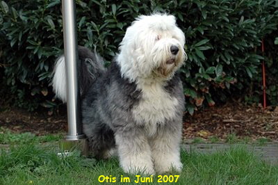 Otis im Juni 2007