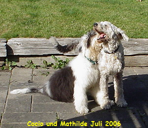 Cocio und Mathilde Juli 2006