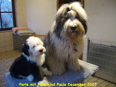 Perle mit Patenkind Paule Dezember 2007