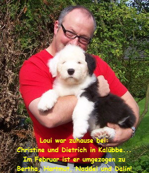 Loui war zuhause bei:
Christine und Dietrich in Kalbbe...
Im Februar ist er umgezogen zu
Bertha, Hartmut, Naddel und Dalin!