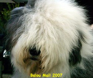 Balou Mail 2007