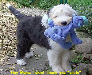Hey Mama Tokio! Thank you *smile*