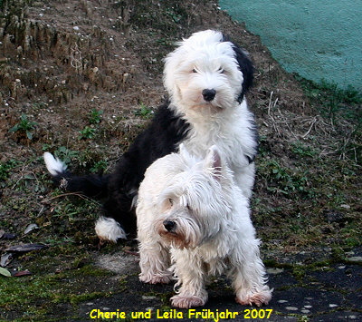 Cherie und Leila Frühjahr 2007