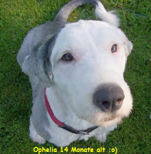 Ophelia 14 Monate alt ;o)