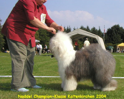 Naddel Kaltenkirchen 2004