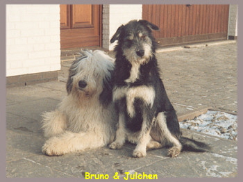 Bruno & Julchen