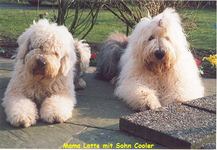 Cooler (rechts) mit seiner Mama Lotte