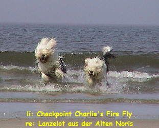 li: Checkpoint Charlie's Fire Fly
re: Lanzelot aus der Alten Noris