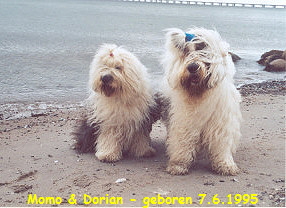 Momo & Dorian - geboren 7.6.1995
