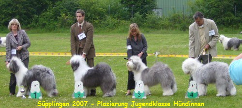 Süpplingen 2007 - Plazierung Jugendklasse Hündinnen