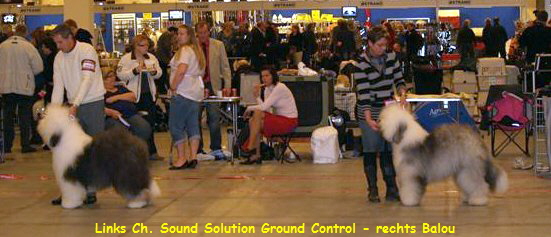 Links Ch. Sound Solution Ground Control - rechts Balou