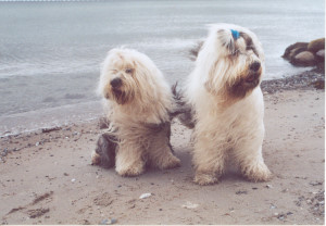 Momo & Dorian 2005
