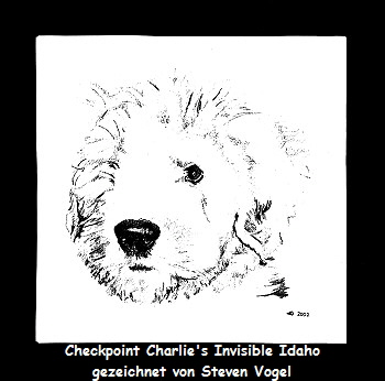 Checkpoint Charlie's Invisible Idaho
