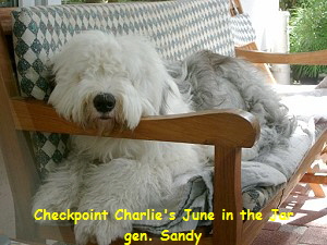 Checkpoint Charlie's June in the Jar
gen. Sandy