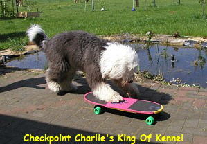 Checkpoint Charlie's King Of Kennel