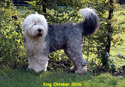King Oktober 2006