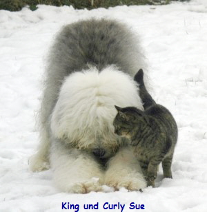 King und Curly Sue