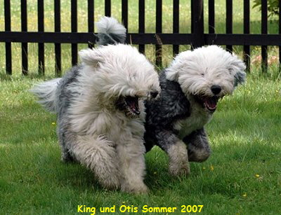 King und Otis Sommer 2007