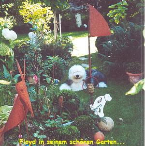 Floyd in seinem schönen Garten...
