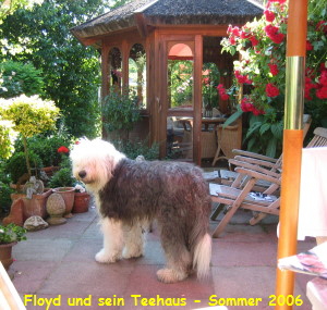 Floyd und sein Teehaus - Sommer 2006