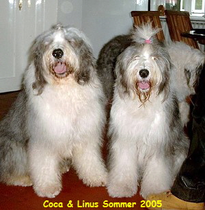 Coca & Linus Sommer 2005