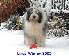 Linus Winter 2005