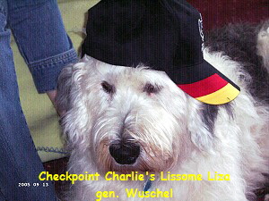 Checkpoint Charlie's Lissome Liza
gen. Wuschel