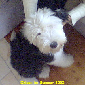 Okleen im Sommer 2005