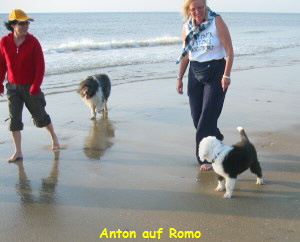 Anton auf Romo