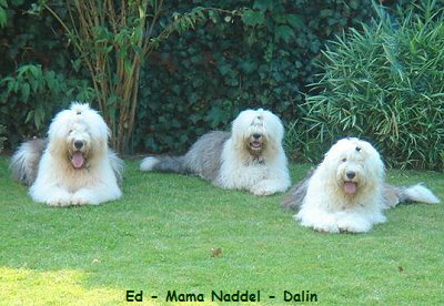 Ed - Mama Naddel - Dalin