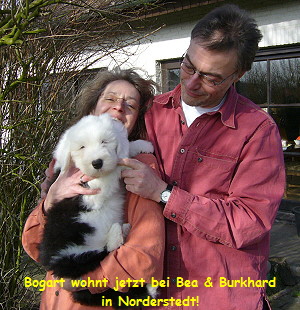 Bogart wohnt jetzt bei Bea & Burkhard
in Norderstedt!