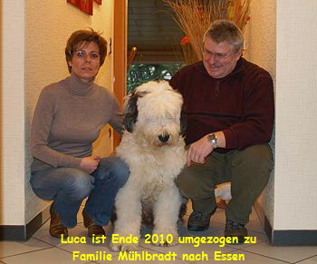 Luca ist Ende 2010 umgezogen zu
Familie Mhlbradt nach Essen